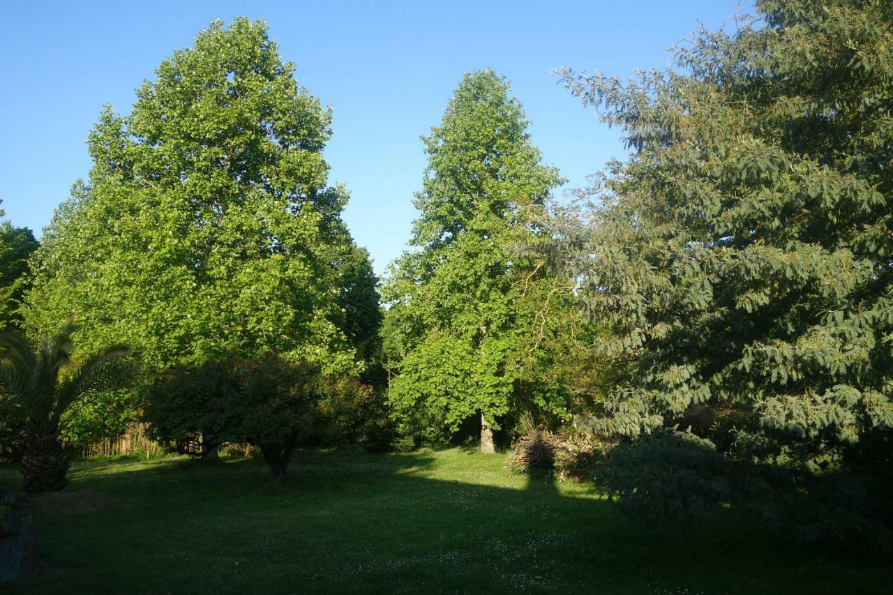 Villa Toulousaine Grisolles  Buitenkant foto