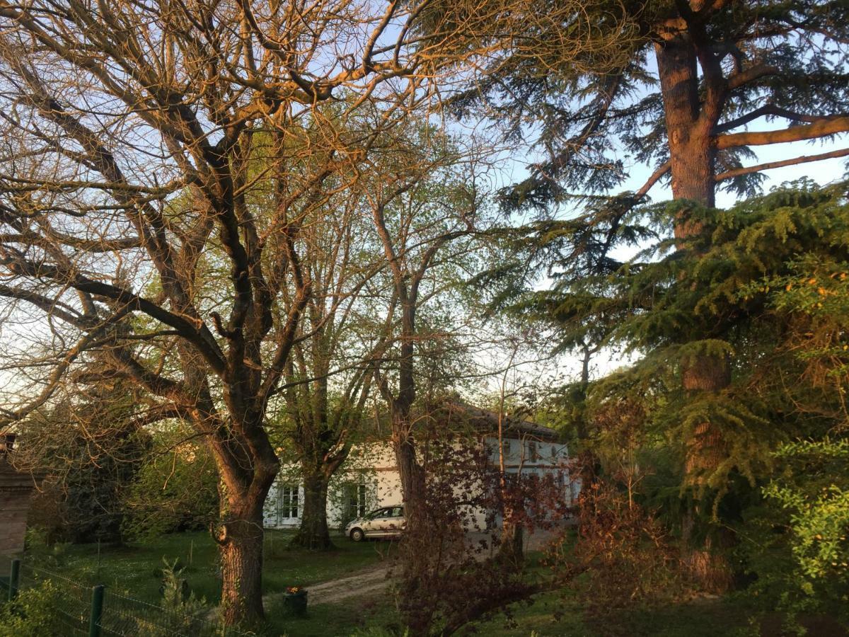 Villa Toulousaine Grisolles  Buitenkant foto
