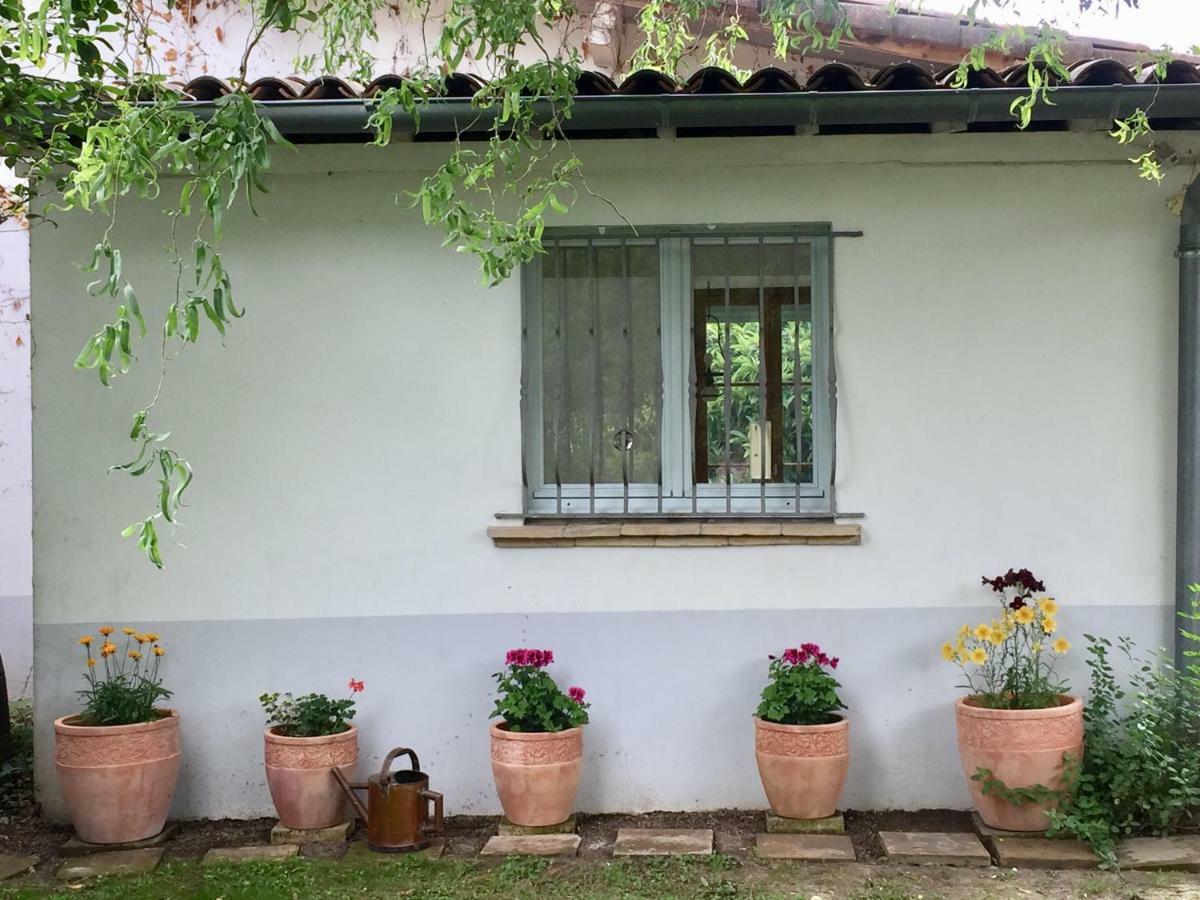 Villa Toulousaine Grisolles  Buitenkant foto
